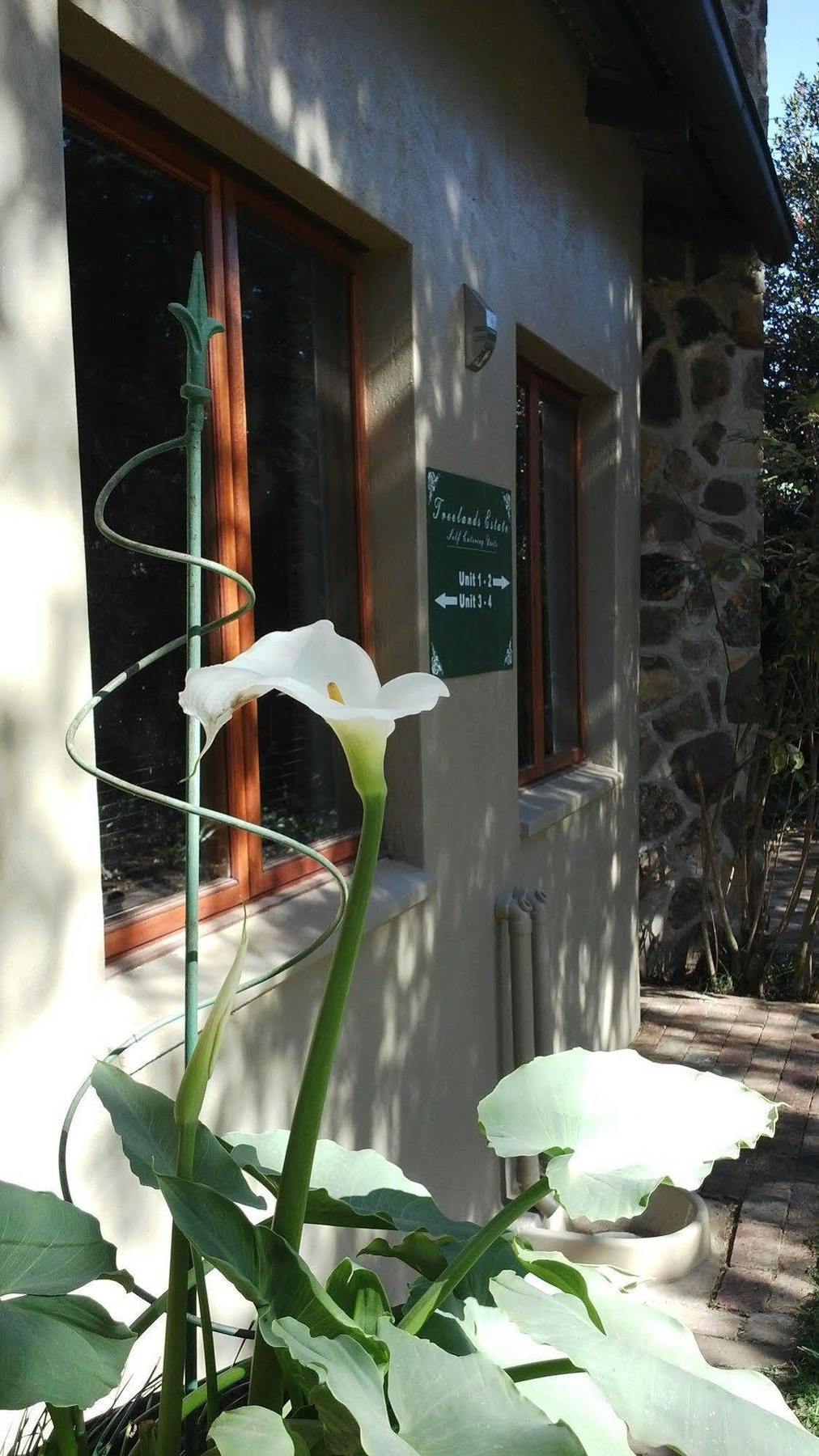 Treelands Estate Dullstroom Exterior photo